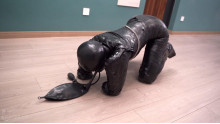 ガムテープをミイラ人型犬
